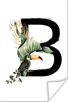 Produktbild von MuchoWow® Poster Papagei - Alphabet - Buchstabe B 60x90 cm - Wanddekoration