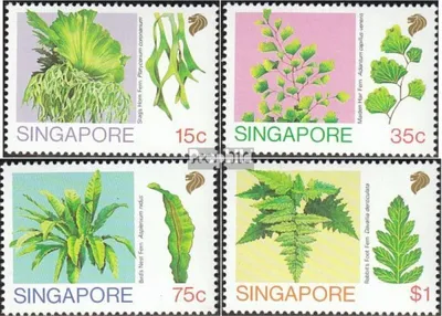 Produktbild von Briefmarken Singapur 1990 Mi 615-618 (kompl.Ausg.) postfrisch Farne