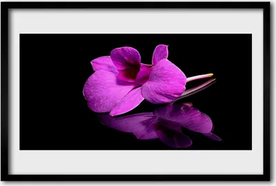 Produktbild von Bild 60x40 MDF-Rahmen Wandkunst Blumen-Stillleben