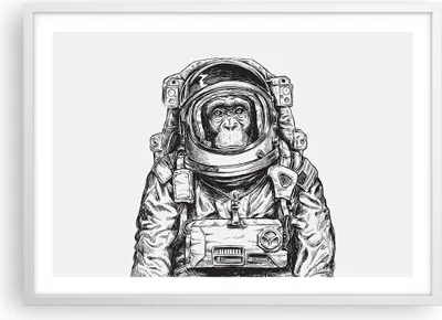 Produktbild von Gerahmtes Poster - Weißer Rahmen - Schimpanse Astronaut Zeichnung - 70x50 cm - Wand Bild - Wanddeko - Wandbilder - Wandposter - Bilderrahmen - Bilder - Kunstdruck - Wandbild - P2WAA70x50-4312