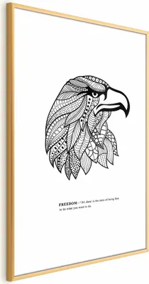 Produktbild von Posterpapier Poster - Eagle of Freedom 40x60 cm Tiere g-A-0174-ao-a