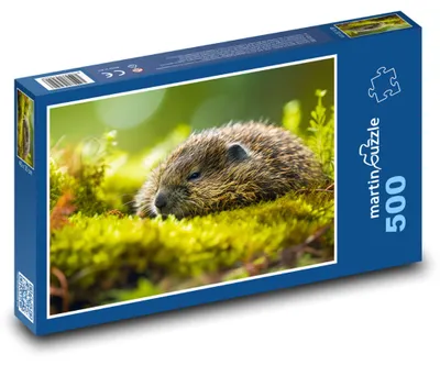 Obrázek produktu pro Puzzle 500 Mláďata vyder v přírodě - martinpuzzle