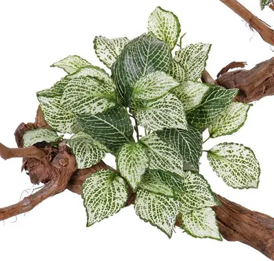 Produktbild von artplants.de Kunstpflanze Mosaikpflanze MOLARA auf Steckstab, grün-weiß, 25cm - Deko Pflanze