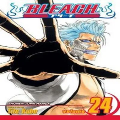 Image de Bleach, Vol. 24