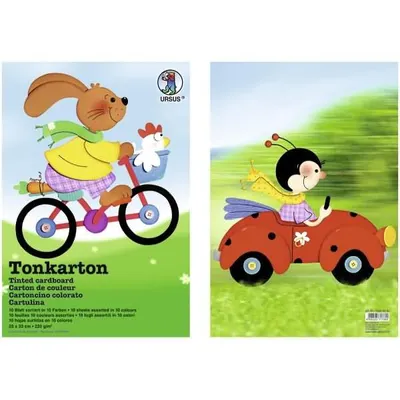 Produktbild von Tonkarton 220g/qm 23x33cm VE=10 Bogen 10 Farben sortiert