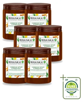 Image de 6 bougies parfumées Botanica de Air Wick - Vétiver et bois de santal - Lot de 6