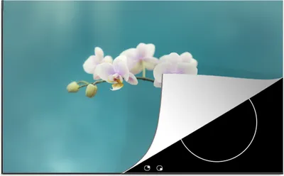 Produktbild von KitchenYeah© Herdabdeckplatte Weiße Orchideen auf blauem Hintergrund , 80x52cm, Küche Deko, Glaskeramikkochfeld Herdabdeckung, Abdeckplatte fùr Kochfeld