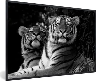 Produktbild von MuchoWow® MuchoWow® Gerahmtes Poster Tiger - Tiere - Schwarz - Weiß 30x20 cm - Poster mit zchwarzem Bilderrahmen - Kunstdruck - Bild-Poster