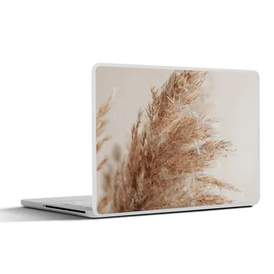 Produktbild von MuchoWow® Laptop Aufkleber Sticker Cover Gras - Pflanzen - Natur - Pampasgras 32.5x23.5 cm - Sticker für Laptop - Selbstklebend