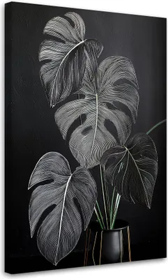 Produktbild von Leinwandbild Monstera Blätter Minimalismus Schwarz 70x100 Feeby Grau bild für die wand bereit zum aufhängen