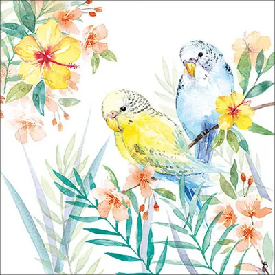 Produktbild von RP 20 Servietten Budgies Couple - Neugierige Wellensittiche 33x33cm