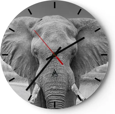Produktbild von Wanduhr - Rund - Glasuhr - Elefant Afrika Tier - 30x30cm - Schleichendes Uhrwerk - Lautlos - zum Aufhängen bereit - Dekoration Modern - Wanddekoration aus Glas - C3AR30x30-5072