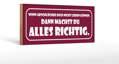Produktbild von Holzschild Spruch 27x10cm wenn Arschlöcher dich nicht