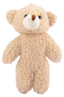 Immagine prodotto di Portachiavi in peluche a forma di orsetto, mini peluche morbido e carino, ideale come accessorio per borse, ciondolo da appendere, perfetto per bambini e adulti