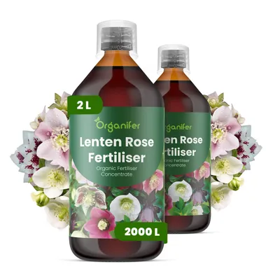 Produktbild von Weihnachtsrose Flüssigdünger 2x1L – 3-4-3 NPK – Flüssig-Pflanzendünger für Weihnachtsrosen – Organifer