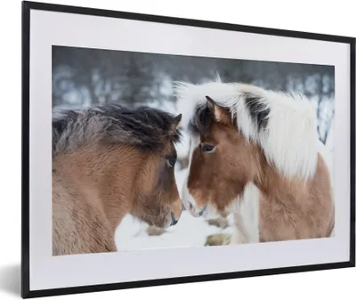 Produktbild von MuchoWow® Gerahmtes Poster Pferde - Schnee - Braun 60x40 cm - Poster mit Schwarzem Bilderrahmen Wandposter Rahmen Foto Bilder - Schlafzimmer - Plakat in Rahmen - Drucken