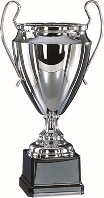 Produktbild von Pokal silber aus Vollmetall Pokalgröße - 45 cm
