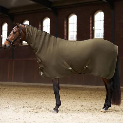 Immagine prodotto di Coperta imbottita Imperial Riding, taglia 195, in pile, con collo IRHFundamental, color verde oliva