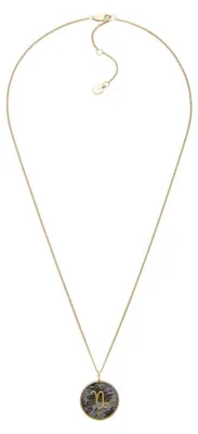 Produktbild von Fossil Damen-Edelstahl oder Sterlingsilber-Halskette mit Karabinerverschluss, Me