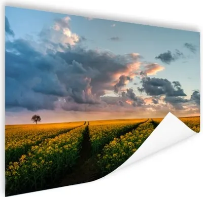 Produktbild von MuchoWow® Poster Blumen - Gelb - Sonnenuntergang 60x40 cm - Schlafzimmerdekoration