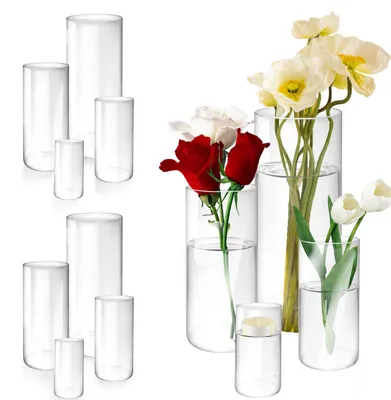 Zylindrische Glasvasen, Set mit 12 Stück, transparent