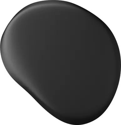 A black, oval-shaped object with a smooth, matte finish, presented against a white background.