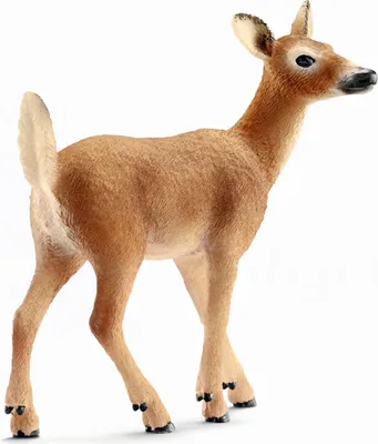 Produktbild von schleich WILD LIFE Weißwedelkuh, 3 Jahr(e), Mehrfarbig, Kunststoff, 1 Stück(e)