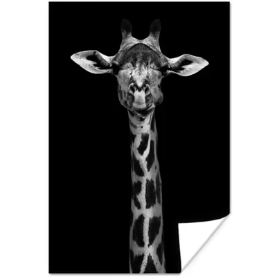 Produktbild von MuchoWow® Poster Giraffe - Tiere - Porträt - Schwarz 40x60 cm - Plakate für die Wand - Poster Babyzimmer