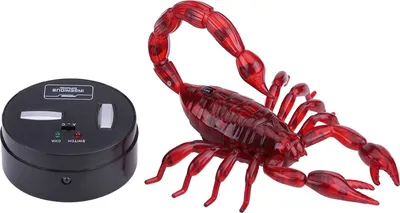 Image de Télécommande infrarouge Scorpion Modèle réduit RC Animal Cadeau de Noël Cadeau pour enfants