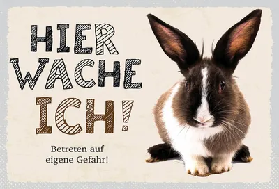 Produktbild von vianmo Holzschild 12x18 cm Hase hier wache ich eigene Gefahr