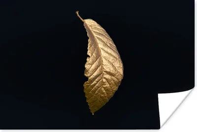 Produktbild von MuchoWow® Poster Blätter - Luxus - Gold - Schwarz - Natur 120x80 cm - Bilder