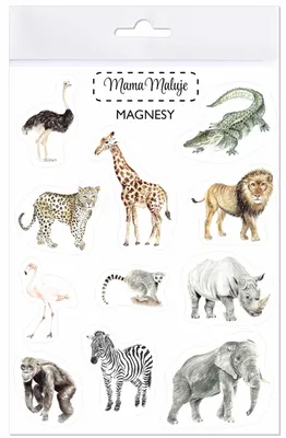 Immagine prodotto di Magneti didattici con animali africani per bambini