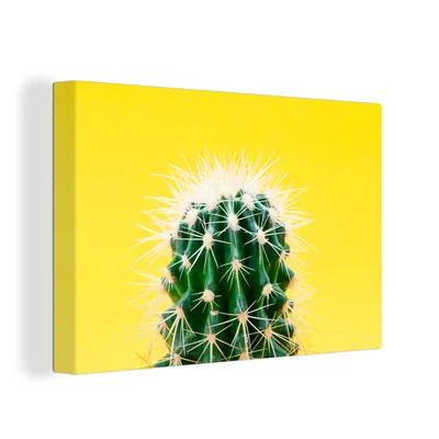 Obrázek produktu pro OneMillionCanvasses® Malba na plátně Nástěnná malba na plátně - Kaktus na žluté - 150x100cm