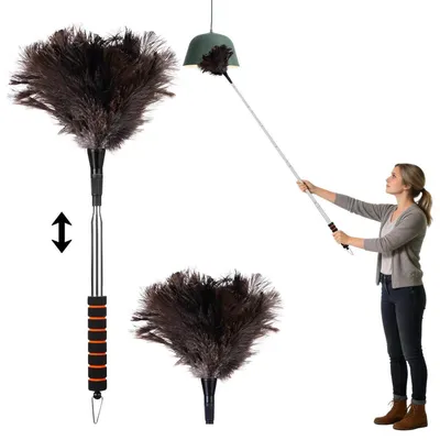 Image de Staubwedel télescopique, lavable, longueur réglable de 55 à 150 cm, plumes d'autruche