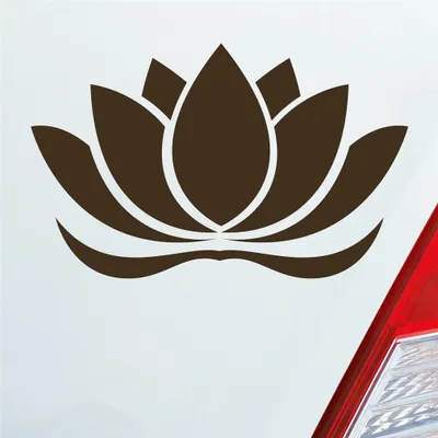 Produktbild von Auto Aufkleber Lotusblüte Lotus Blüte Blume Pflanze Seerose 16x10 cm Braun Sticker Heckscheibenaufkleber