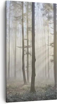 Produktbild von Bild auf Leinwand - Leinwandbild - Wald Baum Natur - 45x80cm - Wand Bild - Wanddeko - Wandbilder - Leinwanddruck - Bilder - Kunstdruck - Wanddekoration - Leinwand bilder - Wandkunst - PA45x80-3749