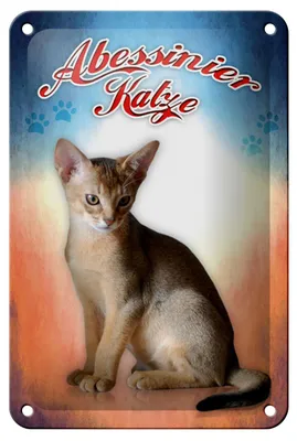 Produktbild von Blechschild Katze 12x18cm Abessinier Katze Wanddeko