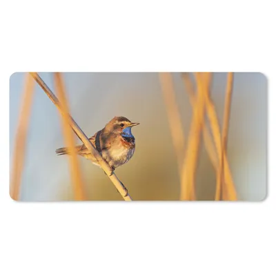 Produktbild von MuchoWow® Mauspad Mousepad Vögel - Blaukehlchen - Schilf 60x30 cm - Mousepads - Maus Mat - Pad - Mausunterlage - Nachhaltig