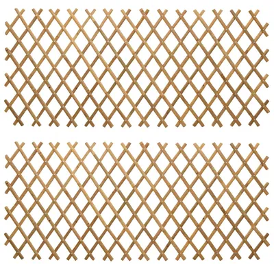 Image de vidaXL Clôture à lattes extensible, 2 pièces, marron clair, 100 x 105 cm, bambou