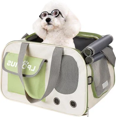 Produktbild von Famanu Transportbox Faltbare Tragetasche für Mittelgroße Hunde und Katzen - Grün