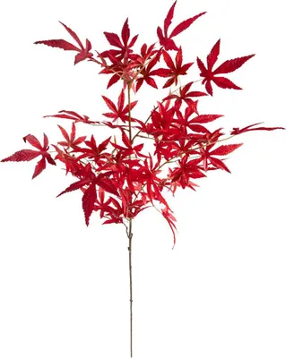 Produktbild von James künstlicher ahornstamm h102cm  - Atmosphera créateur d'intérieur