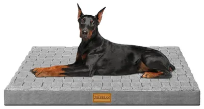 Immagine prodotto di Cuccia ortopedica per cani, colore grigio, dimensioni 142x101x9 cm, con coperta rimovibile