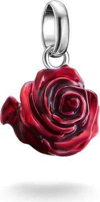 Produktbild von Thomas Sabo Charm Club Connect CC1263-007-10 Charm Anhänger
