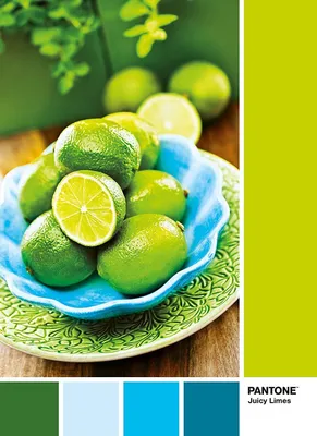 Image de Clementoni 1000Pcs Puzzle Pantone Limettenpunsch 39492