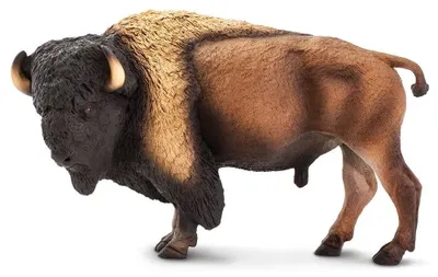 Produktbild von Safari Ltd Wildbisonfigur Braun,Schwarz From 3 Years Kinder Braun,Schwarz From 3 Years