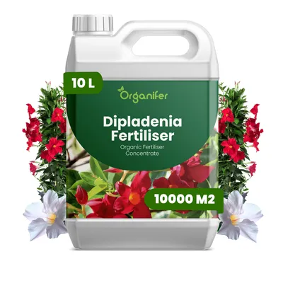 Obrázok produktu pre Dipladenia, tekuté hnojivo, 10 litrov – vzťah živín NPK: 2-1-8 – Vhodné pre kvitnúce rastliny – Pre zdravé listy a bohaté kvitnutie – Podporuje rast koreňov a vitalitu – Organický produkt