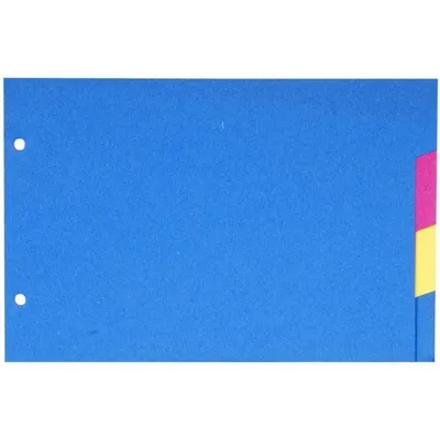 Immagine prodotto di EXACOMPTA  804E EXACOMPTA Karton-Register, 148 x 210 mm, 4-teilig