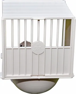 Produktbild von Duvo+ Brutkasten Kunststoff beige