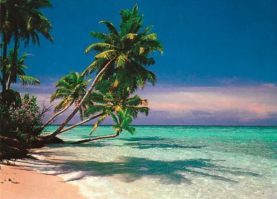Immagine prodotto di Spiagge - Poster - Spiaggia tropicale + 1 Ü-Poster formato 61x91,5cm