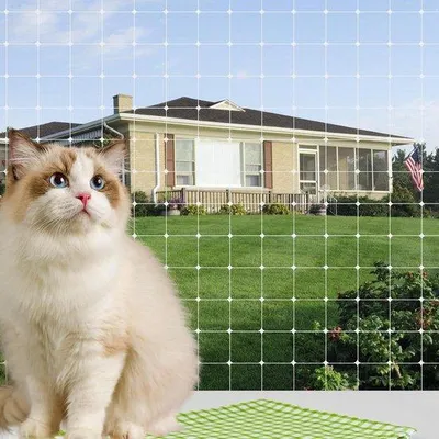 Produktbild von Famanu Balkonnetz für Katzen - 10 x 3 m - transparentes Schutznetz für Balkone und Terrassen
